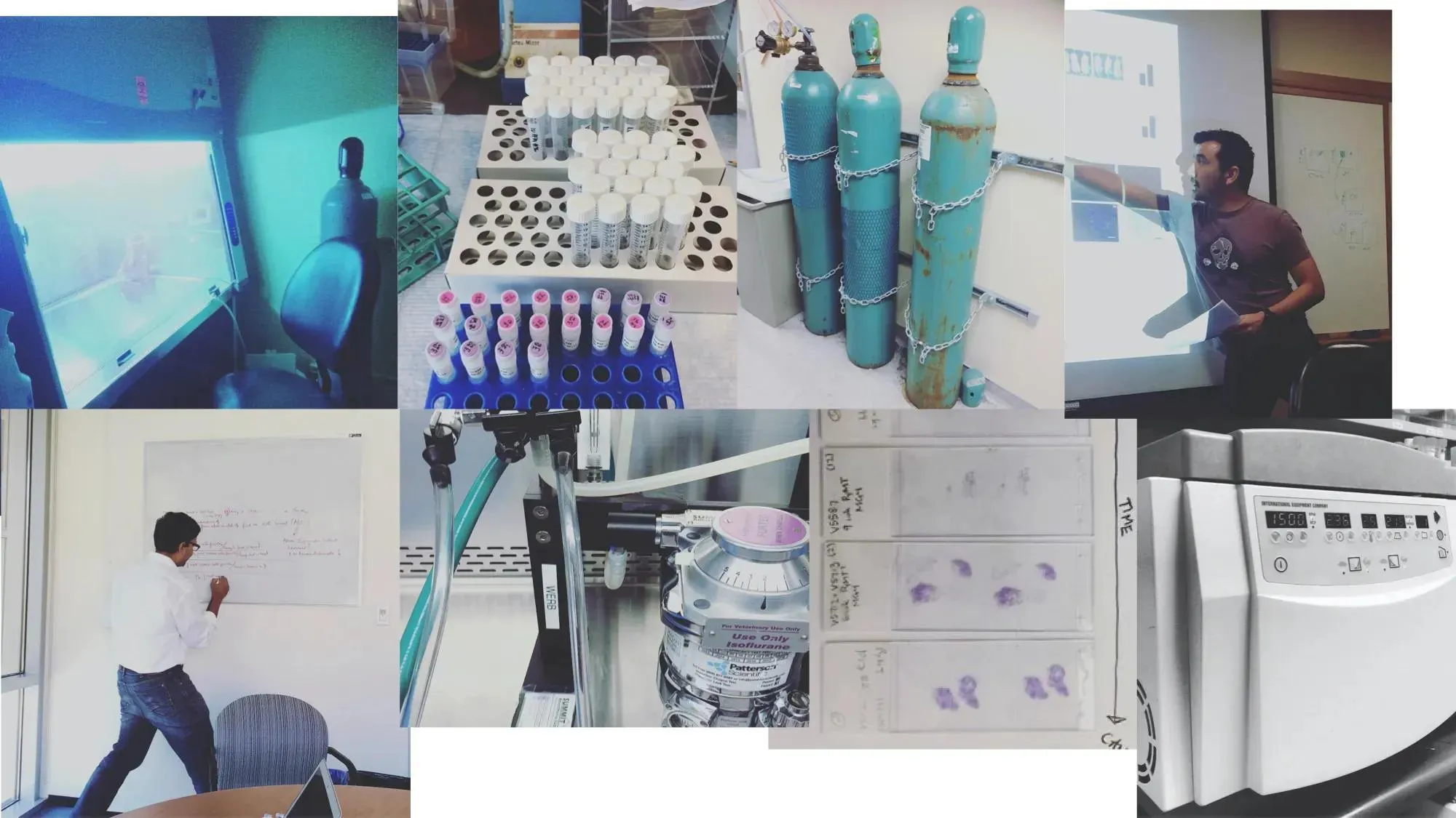 Hagerling Lab research