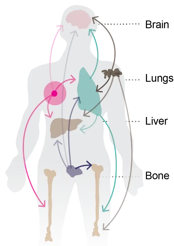 Research figure — spatial analysis